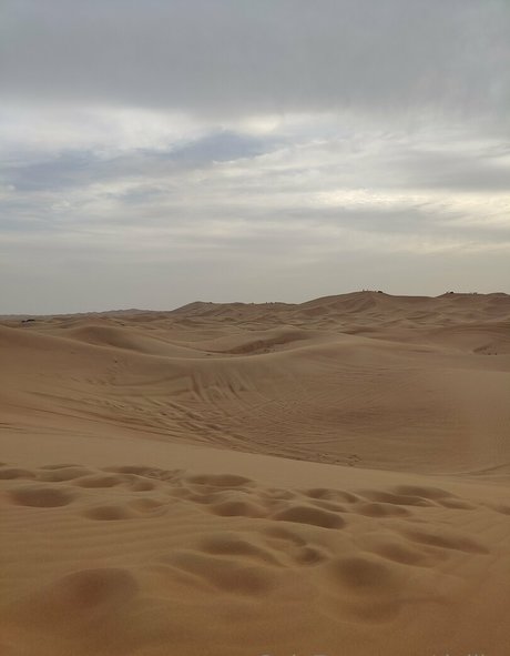 dejiko top model pictures