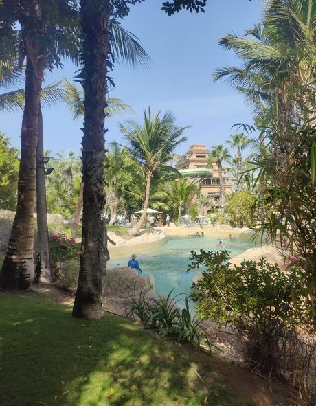 dejiko high quality star picture