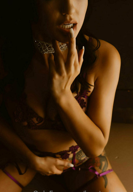 logsterbunny star pretty image