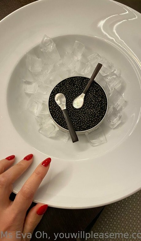 youwillplease me top pornstar galleries