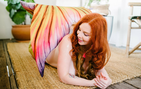 avalonfey star adult archive