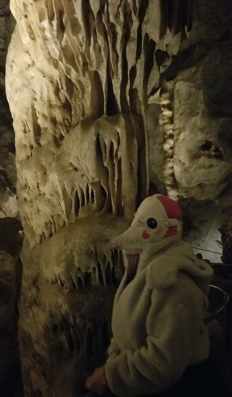 PDoctress naked actress img