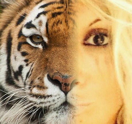 Gatina 22 model high quality gallery