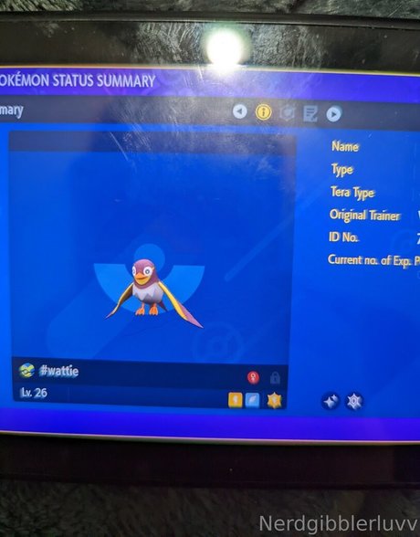 nerdgibblerluvv best model pics