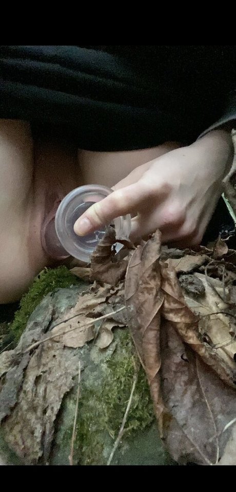 ciciastral pornographic actress images