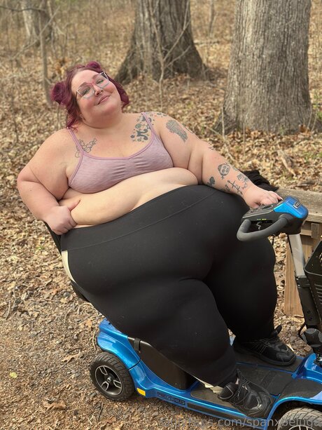 spanxbeluga star nice images