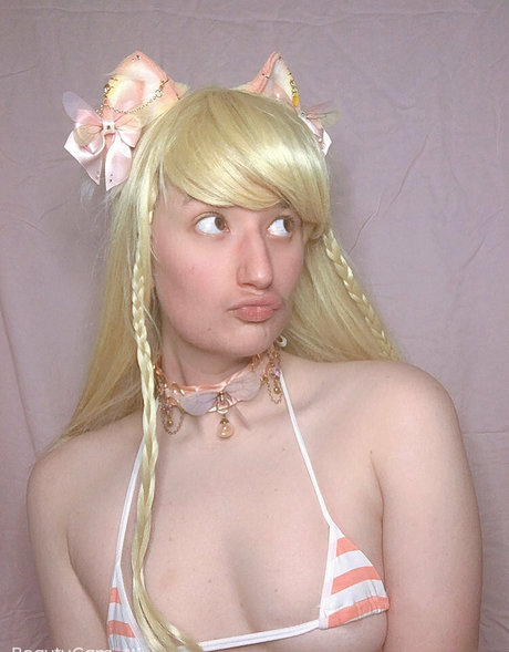 friendofbees top star photo