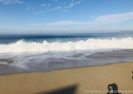 toridanyels star pretty archive