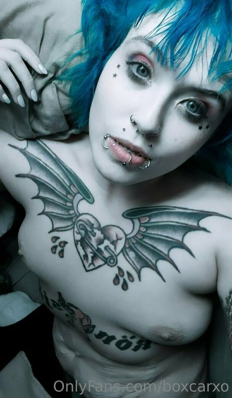 Boxcarxo star archive