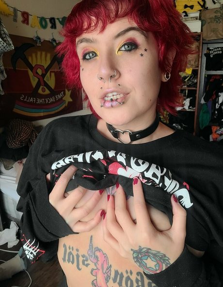 Boxcarxo star perfect image