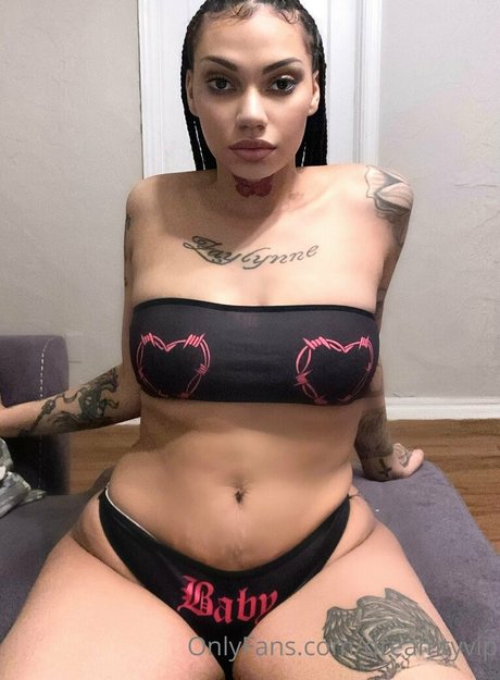 dreamty hd pornstar archive