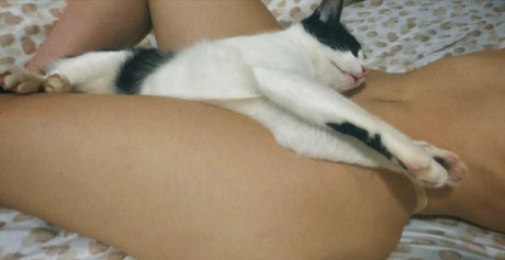 signorinabella model perfect photo