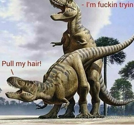 snovixen pornstar beautiful photo