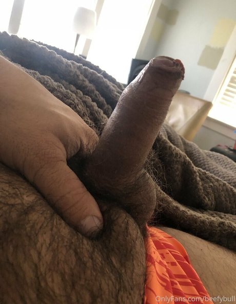 beefybull hot pornstar galleries