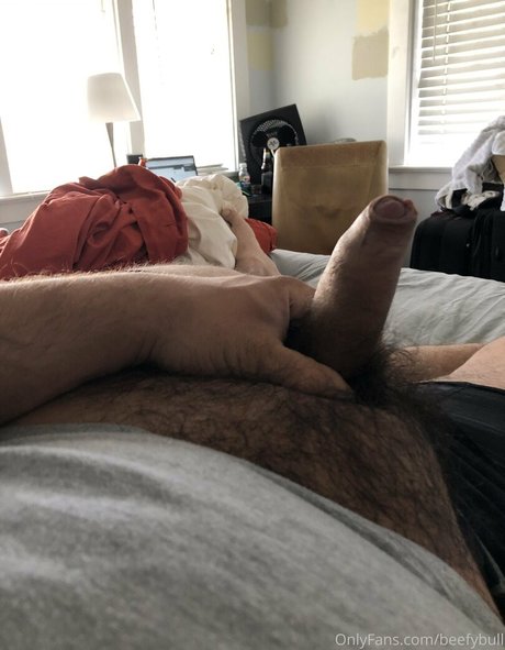 beefybull hd model pictures