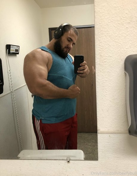 beefybull best model image