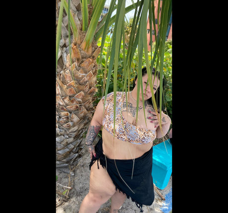 inky hermosa star nice image