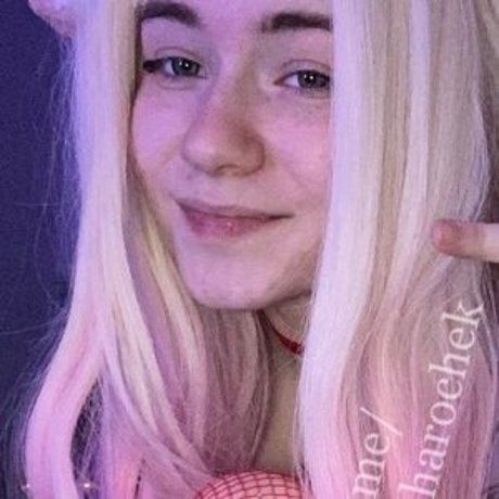 caxarok bunny star beautiful pics