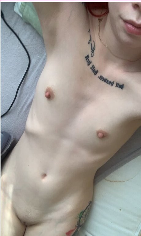 stangebraten star erotic gallery