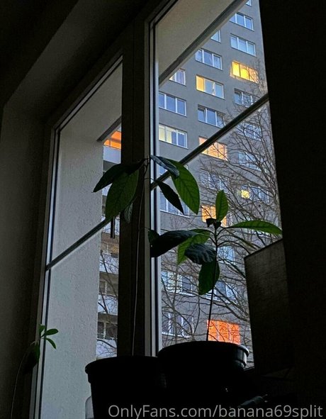 banana69split model perfect archive