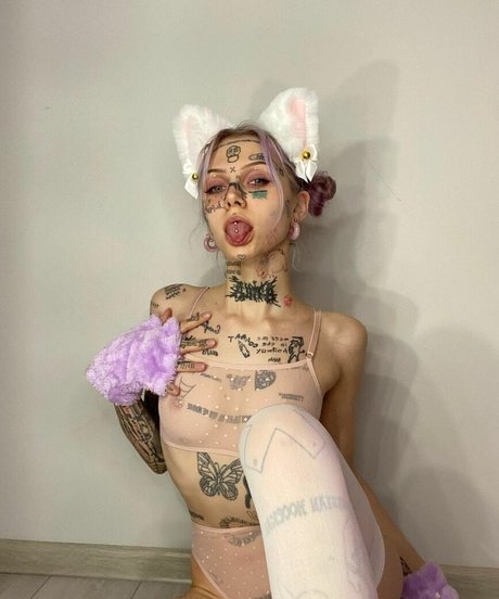 dtlowtcktpiilwh star top image