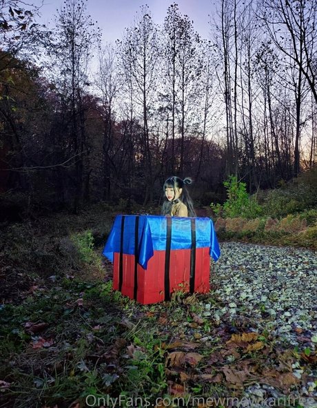 mewmewkarifree nude star image