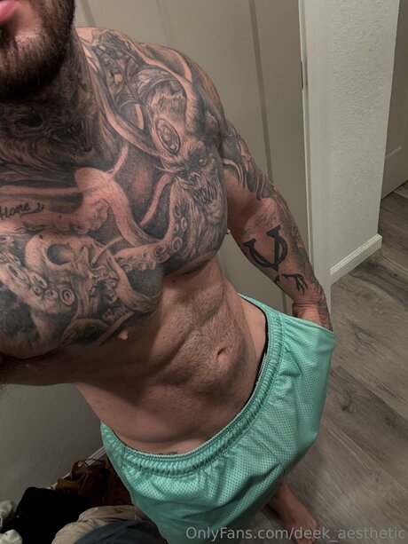 deek aesthetic art model image