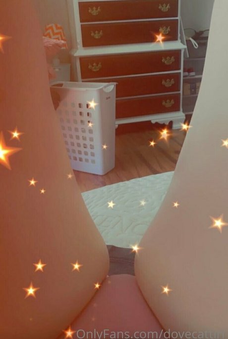 dovecattiri star perfect pic