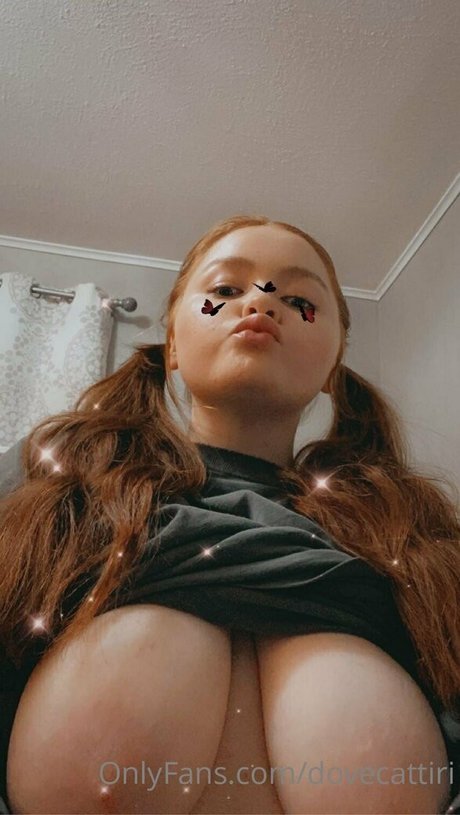 dovecattiri model best img