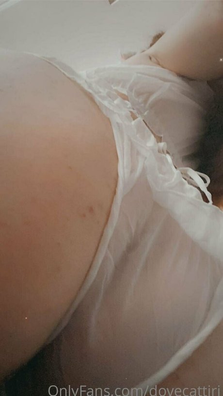 dovecattiri star nice galleries