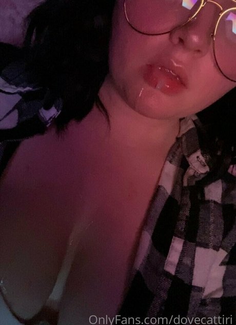 dovecattiri xxx pornstar image