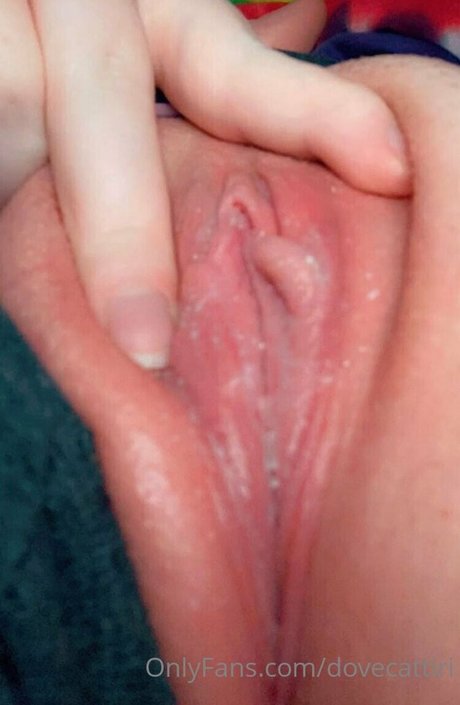 dovecattiri pornographic actress photo