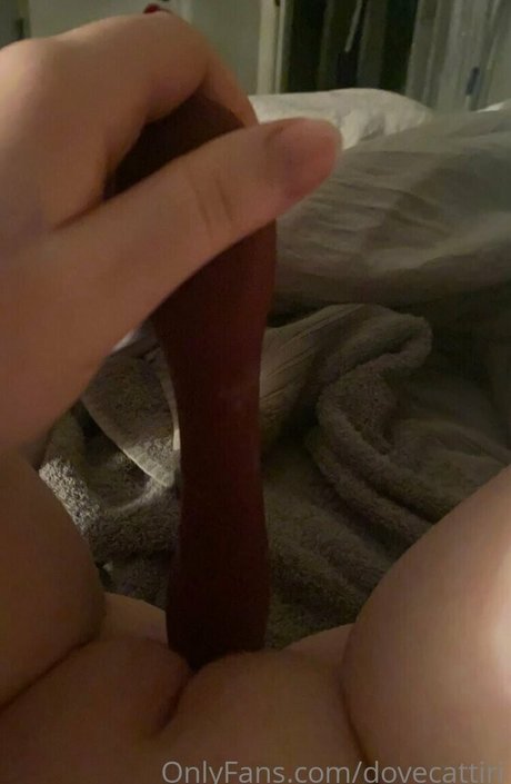 dovecattiri exclusive star pics