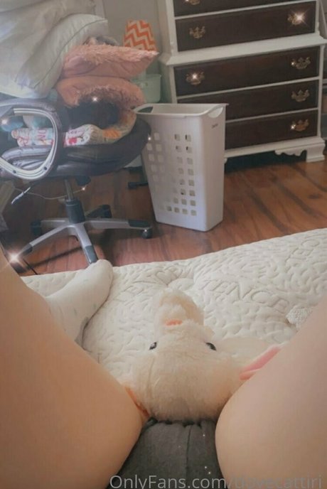 dovecattiri xxx model archive