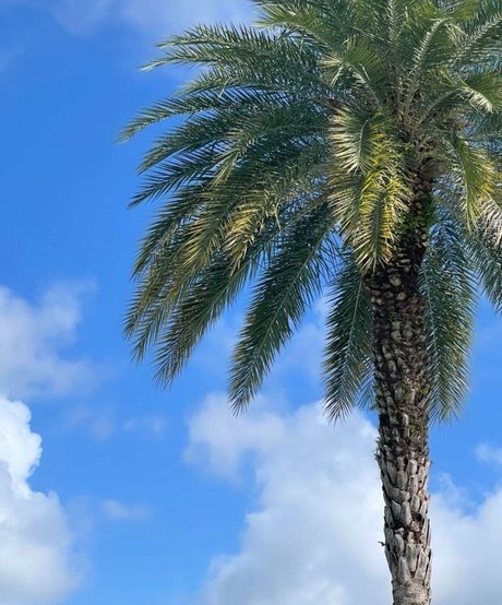 Ashley Hackel erotic star pictures