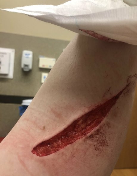 lewdhyena art pornstar galleries