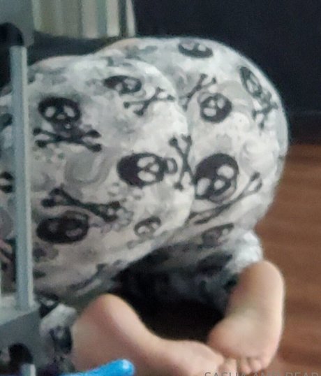 sashaandbear porn star pictures