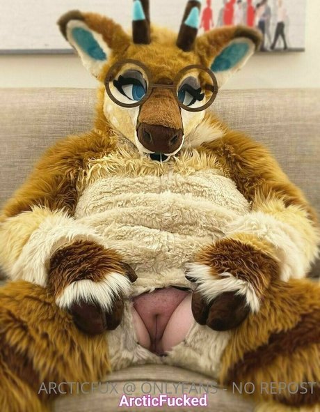 arcticfux model pretty galleries