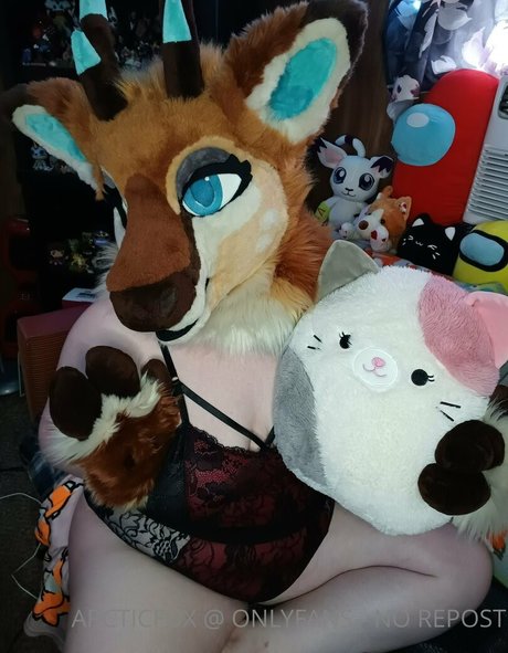 arcticfux star top pictures