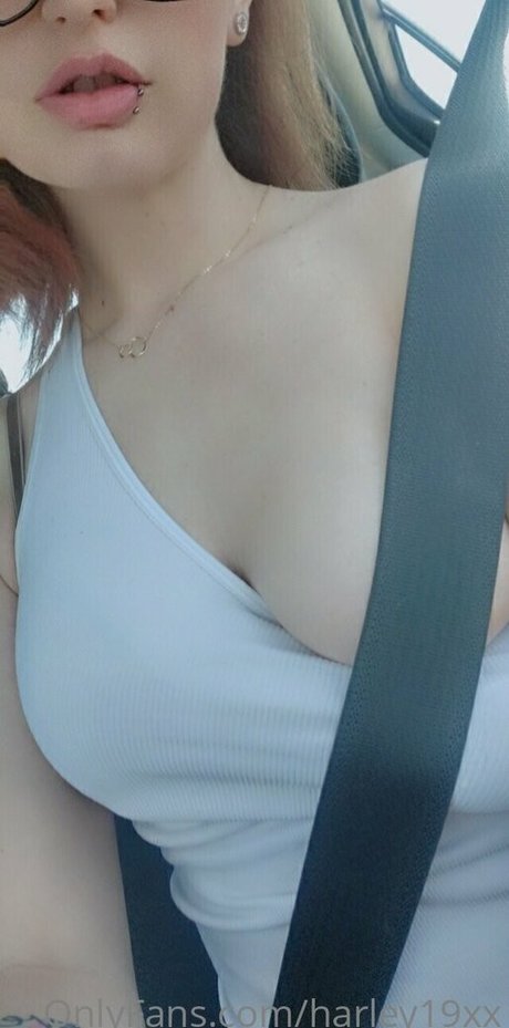 harley19xx model free photos