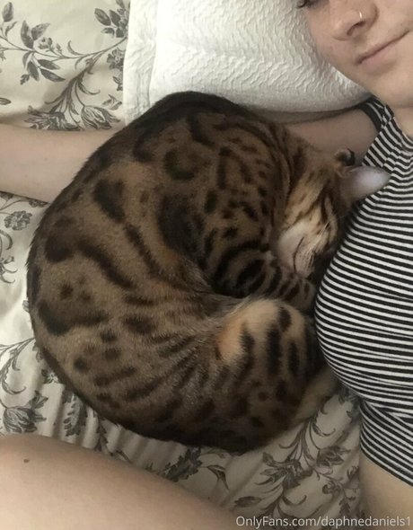 daphnedaniels1 star high quality archive