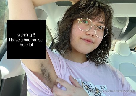 erikasivysaur nice model archive