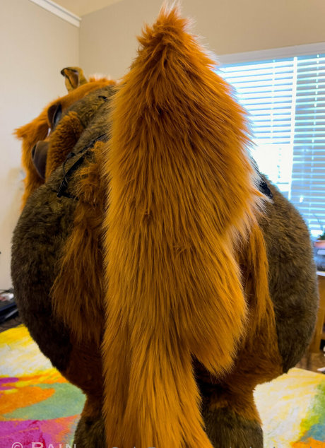 rain horsie sexy actress archive