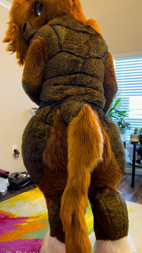 rain horsie nice star picture