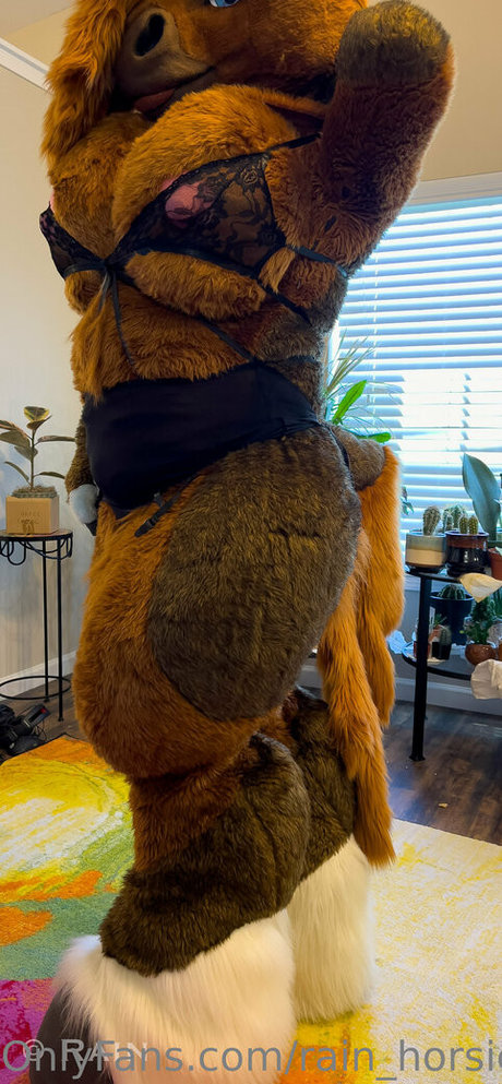 rain horsie pornographic actress archive