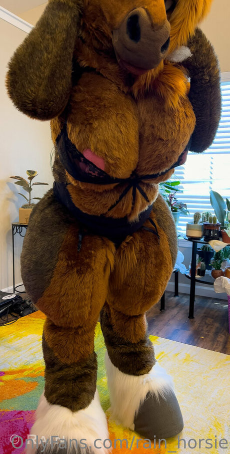 rain horsie star perfect pic