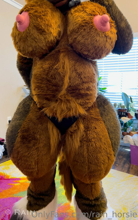 rain horsie star pornographic galleries