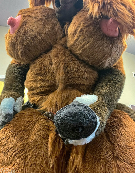 rain horsie xxx model img