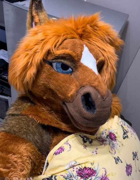 rain horsie pornographic model archive