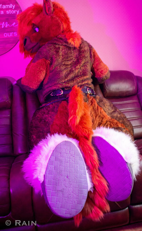 rain horsie pornstar perfect archive